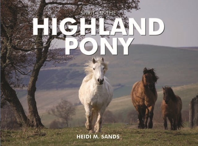 Bilde av Spirit Of The Highland Pony Av Heidi M. Sands