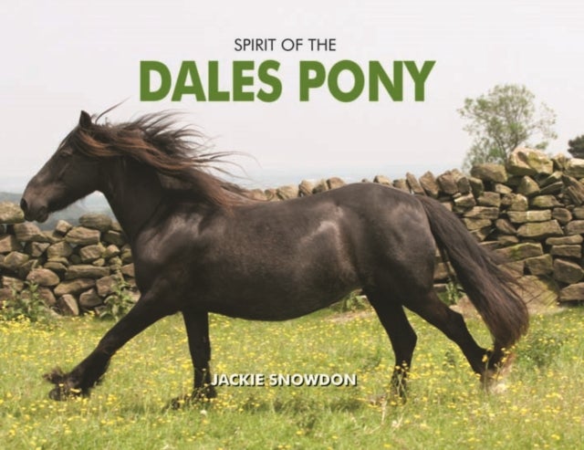 Bilde av Spirit Of The Dales Pony Av Jackie Snowdon