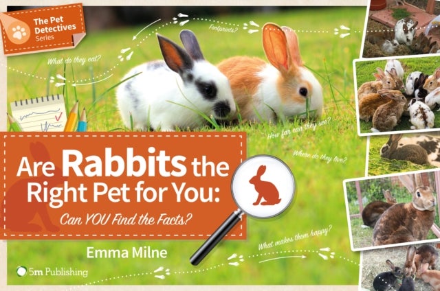 Bilde av Are Rabbits The Right Pet For You: Can You Find The Facts? Av Emma Milne