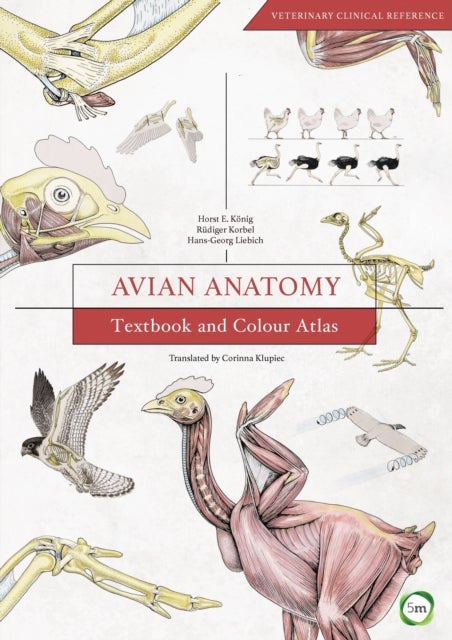 Bilde av Avian Anatomy 2nd Edition: Textbook And Colour Atlas Av Horst Erich Konig