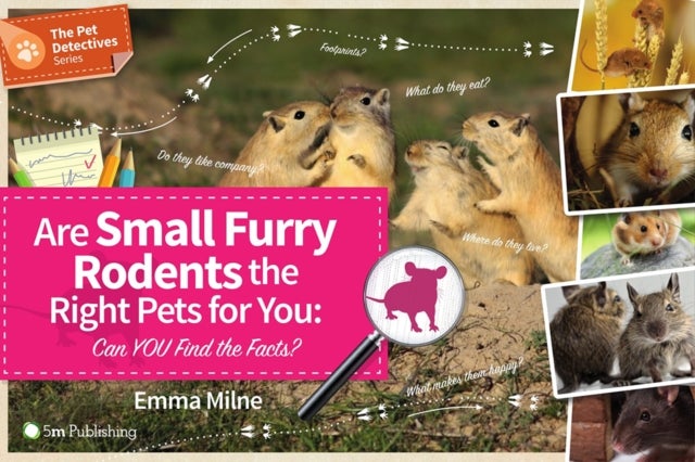 Bilde av Are Small Furry Rodents The Right Pets For You: Can You Find The Facts? Av Emma Milne