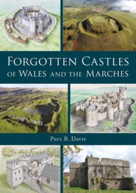 Bilde av Forgotten Castles Of Wales And The Marches Av Paul R. Davis