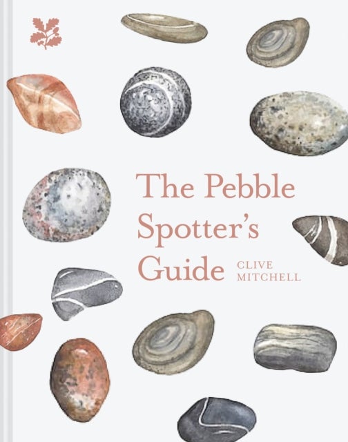 Bilde av The Pebble Spotter&#039;s Guide Av Clive Mitchell, National Trust Books