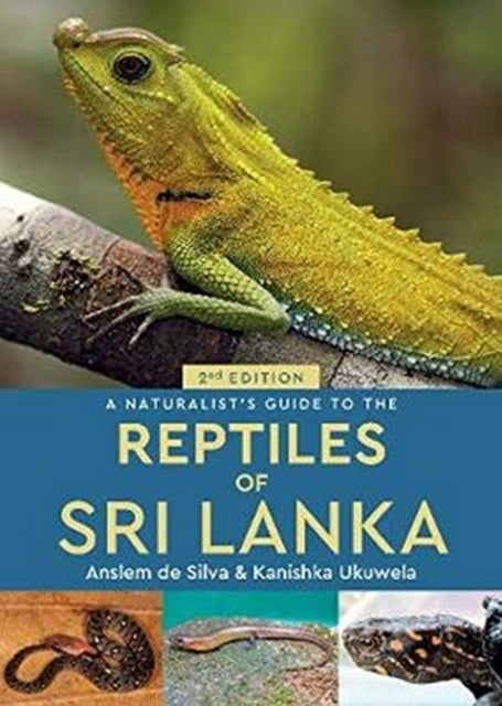 Bilde av A Naturalist&#039;s Guide To The Reptiles Of Sri Lanka (2nd Edition) Av Anslem De Silva, Kanishka Ukuwela