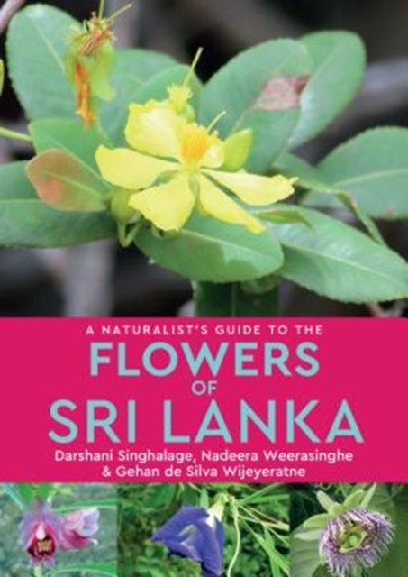 Bilde av A Naturalist¿s Guide To The Flowers Of Sri Lanka Av Darshani Singhalage, Nadeera Weerasinghe, Gehan De Silvia Wijeyeratne