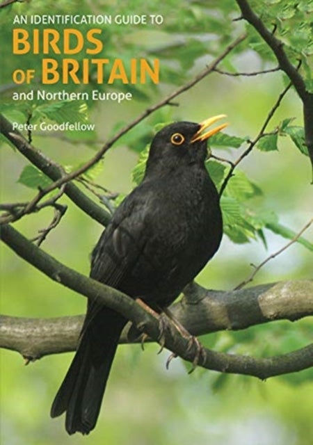 Bilde av An Identification Guide To Birds Of Britain And Northern Europe (2nd Edition) Av Peter Goodfellow