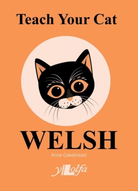 Bilde av Teach Your Cat Welsh Av Anne Cakebread