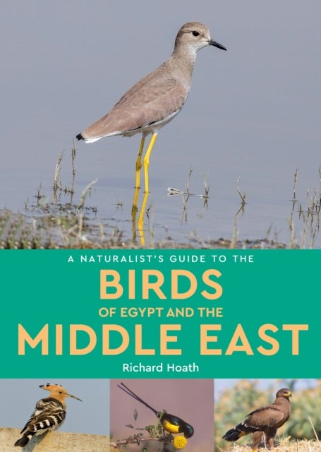 Bilde av A Naturalist&#039;s Guide To The Birds Of Egypt And The Middle East Av Richard Hoath