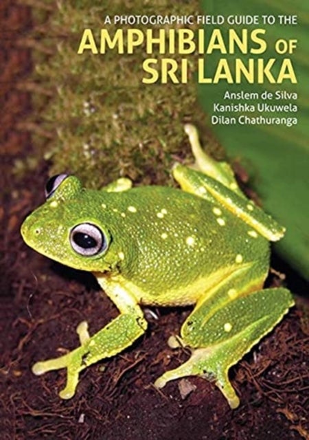Bilde av A Photographic Field Guide To The Amphibians Of Sri Lanka Av Anselm De Silva, Kanishka Ukuwela, Dilan Chathuranga