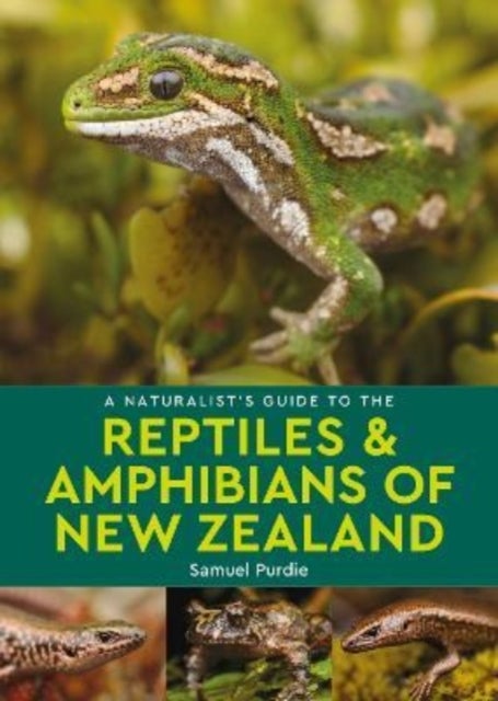 Bilde av A Naturalist&#039;s Guide To The Reptiles &amp; Amphibians Of New Zealand Av Samuel Purdie