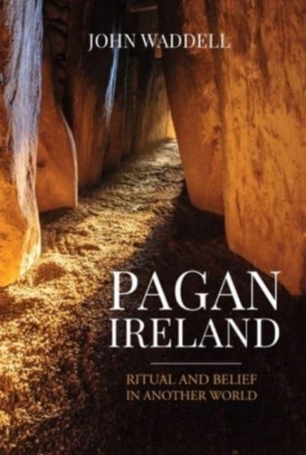 Bilde av Pagan Ireland Av John Waddell