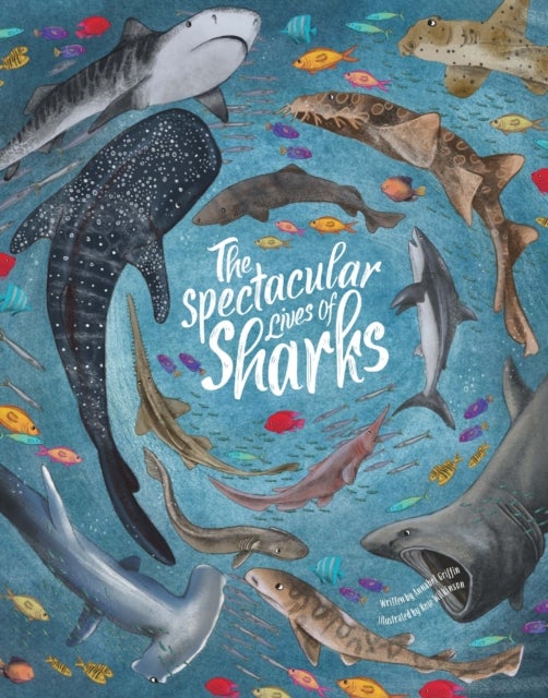 Bilde av Spectacular Lives Of Sharks Av Annabel Griffin