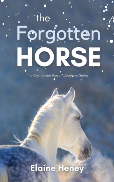 Bilde av The Forgotten Horse - Book 1 In The Connemara Horse Adventure Series For Kids / The Perfect Gift For Av Elaine Heney