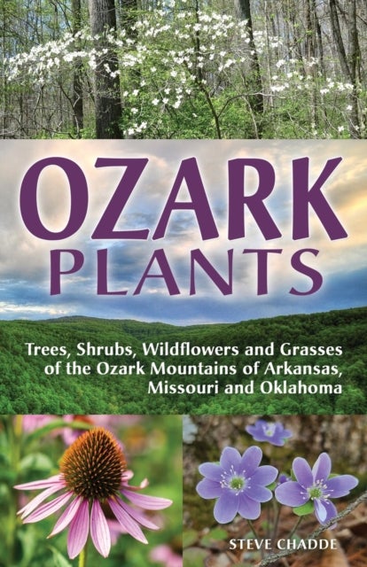 Bilde av Ozark Plants Av Steve Chadde
