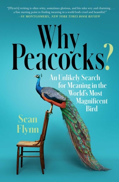 Bilde av Why Peacocks? Av Sean Flynn
