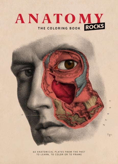 Bilde av Anatomy Rocks: The Coloring Book