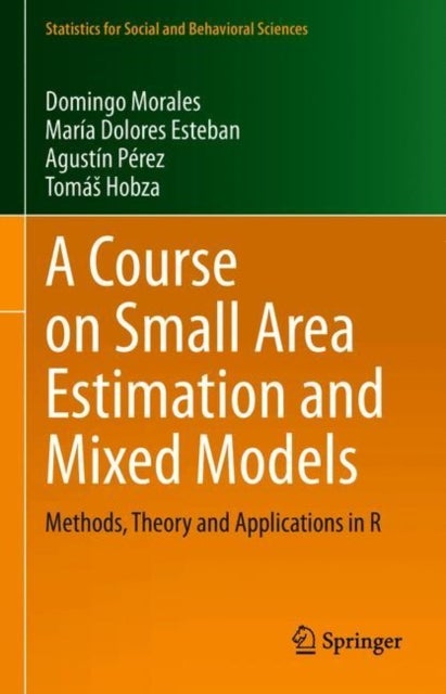 Bilde av A Course On Small Area Estimation And Mixed Models Av Domingo Morales, Maria Dolores Esteban, Agustin Perez, Tomas Hobza