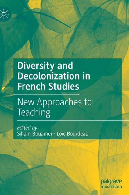 Bilde av Diversity And Decolonization In French Studies