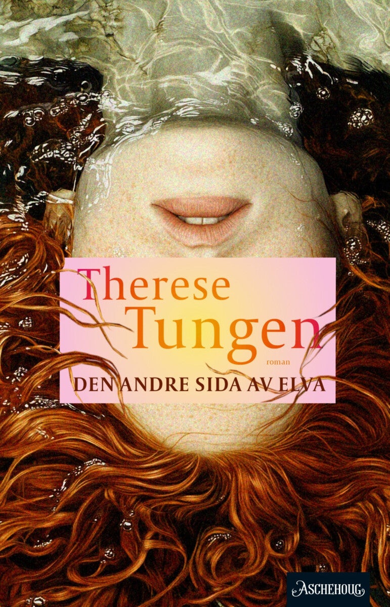 Den andre sida av elva - roman