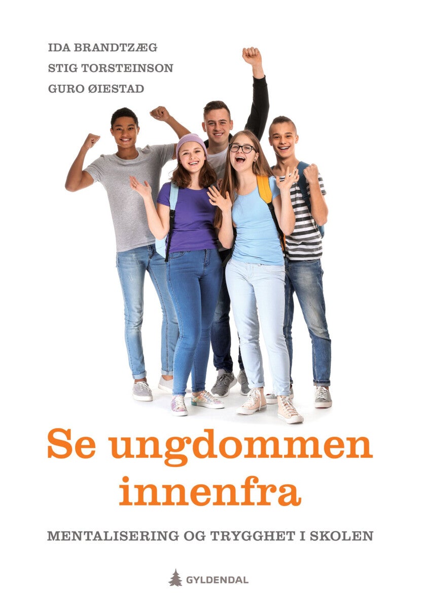 Bilde av Se Ungdommen Innenfra Av Ida Brandtzæg, Stig Torsteinson, Guro Øiestad