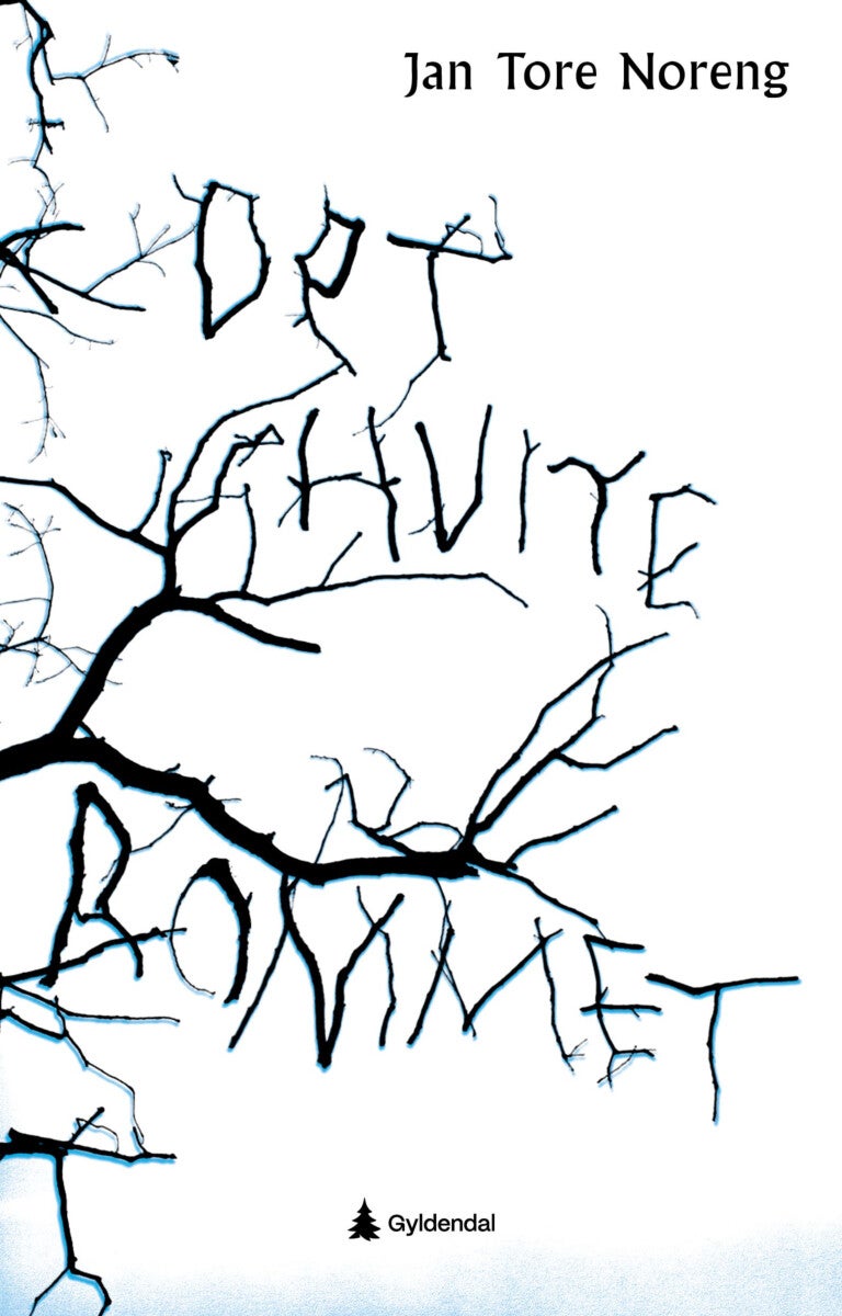 Det hvite rommet - ungdomsroman