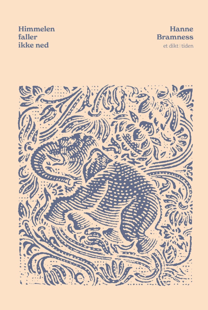 Himmelen faller ikke ned - et dikt