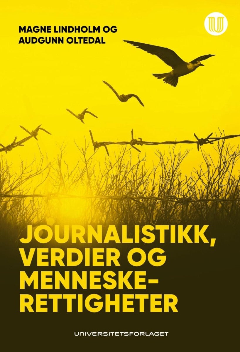 Bilde av Journalistikk, Verdier Og Menneskerettigheter Av Magne Lindholm, Audgunn Oltedal