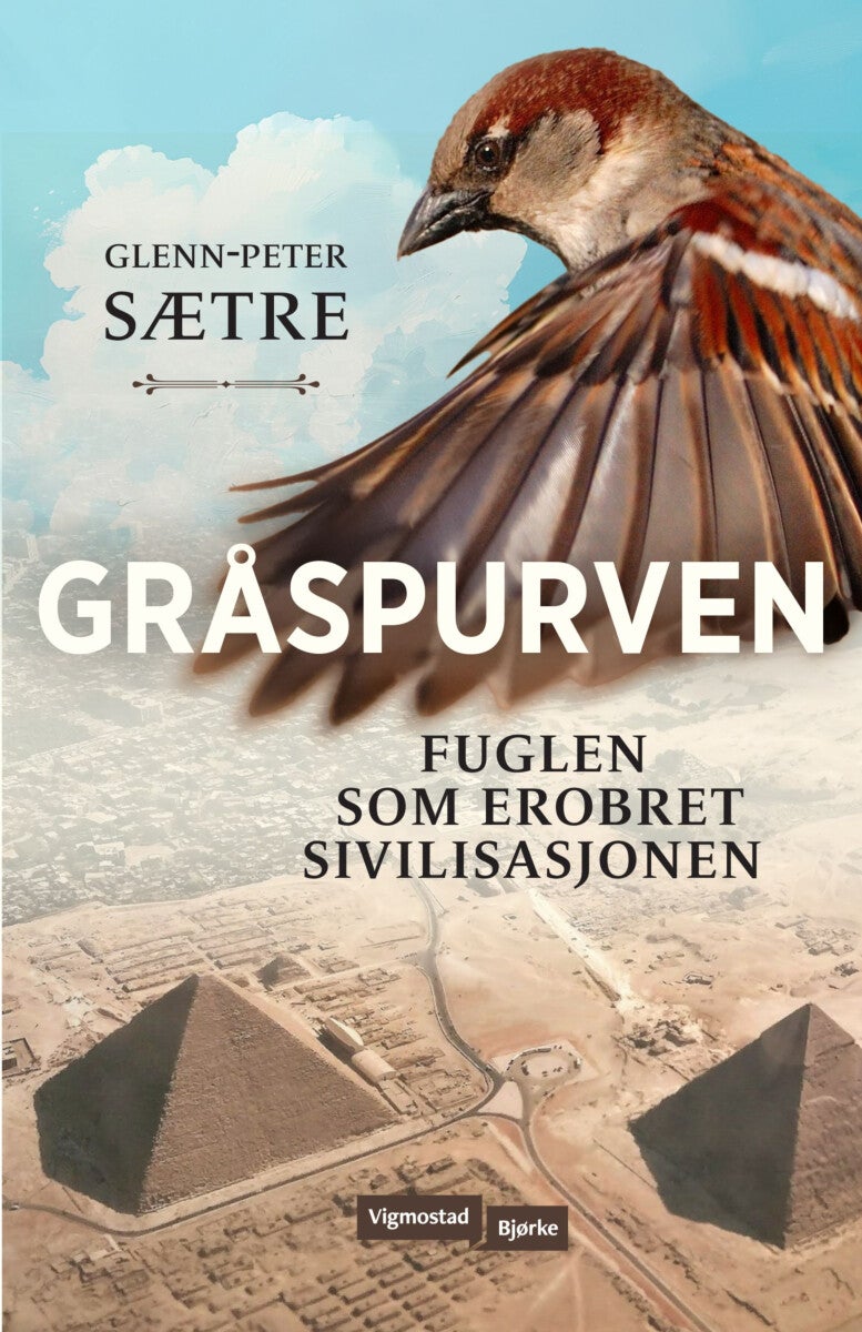 Gråspurven - fuglen som erobret sivilisasjonen