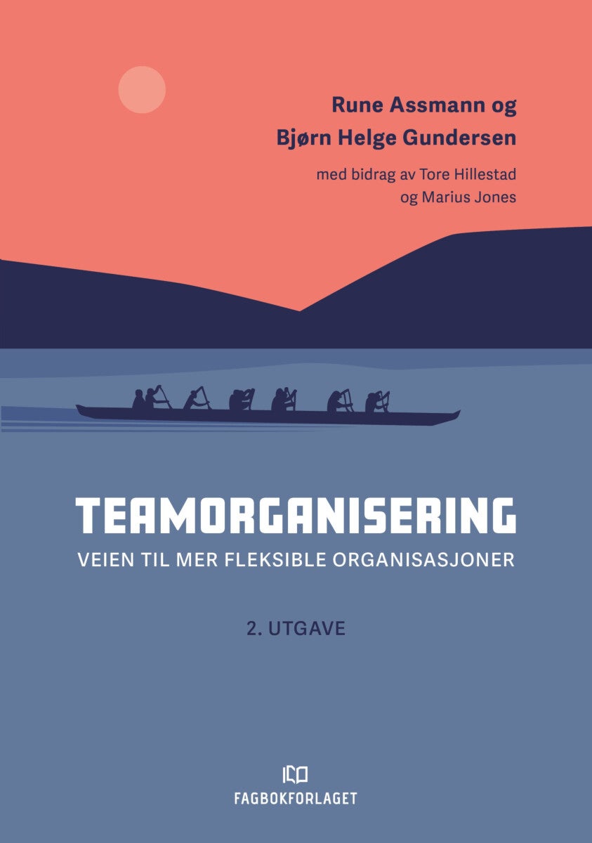 Bilde av Teamorganisering Av Rune Assmann, Bjørn Helge Gundersen, Tore Hillestad