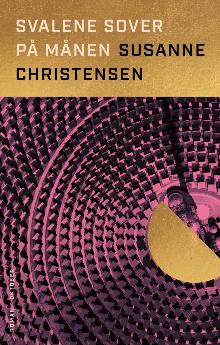 Svalene sover på månen - roman