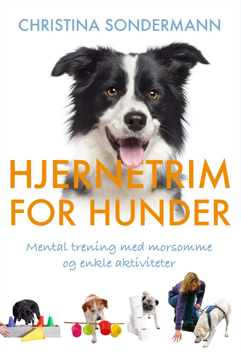 Hjernetrim for hunder - mental trening med morsomme og enkle aktiviteter