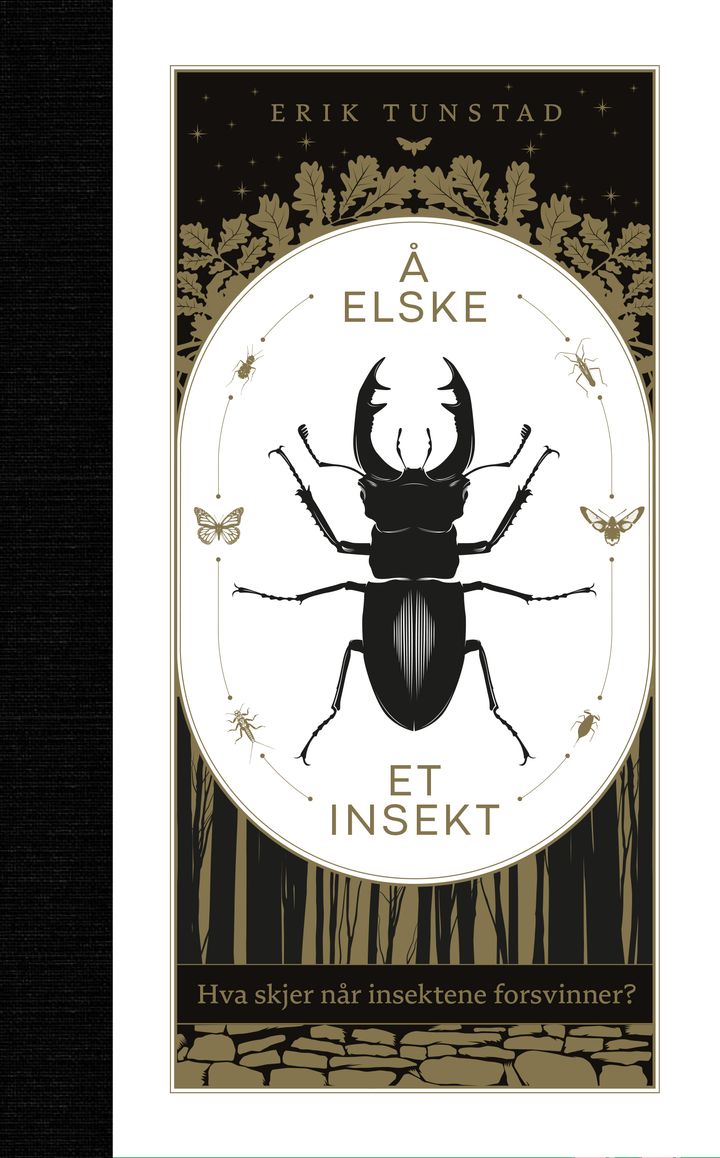 Å elske et insekt - hva skjer når insektene forsvinner?