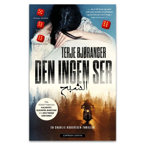 Den ingen ser Spennende krimbok fra 2024: Thrilleren Den ingen ser Terje Bjøranger