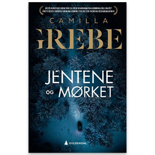 Jentene og mørket Jentene og mørket av Camilla Grebe